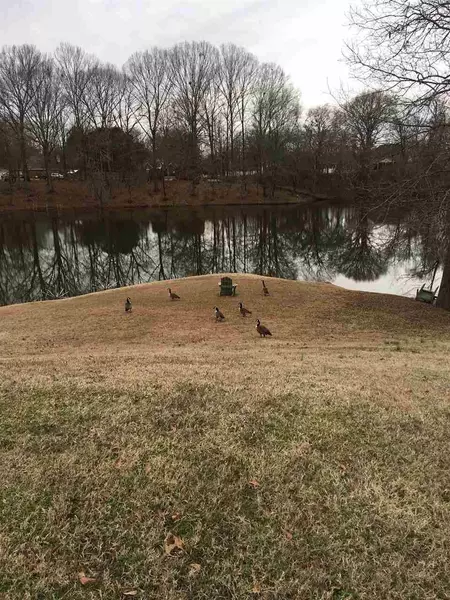 0 Sawgrass Point #20, Vicksburg, MS 39183