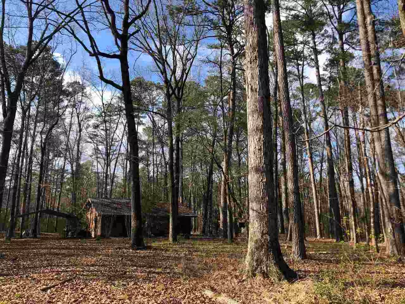 898 Coal Bluff Road, Lena, MS 39094