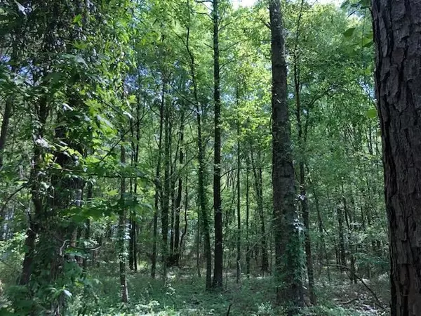 Forest, MS 39074,0 Fountain Road