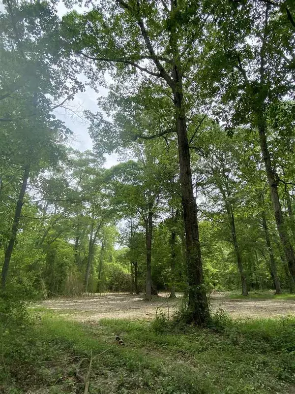 Brandon, MS 39042,147 Pine Acre Place