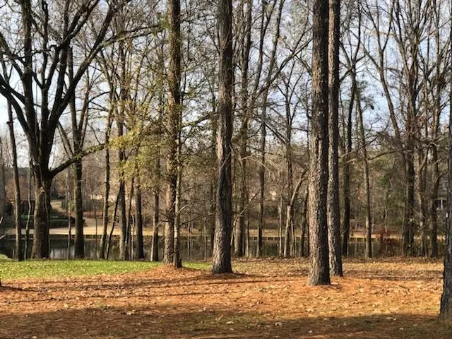 Ridgeland, MS 39157,0 Bridgewater Crossing #Lot 246