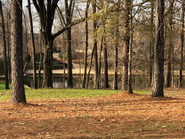 Ridgeland, MS 39157,0 Bridgewater Crossing #Lot 246