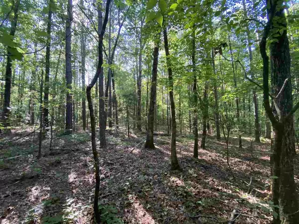 Eupora, MS 39744,0 Bowen Road