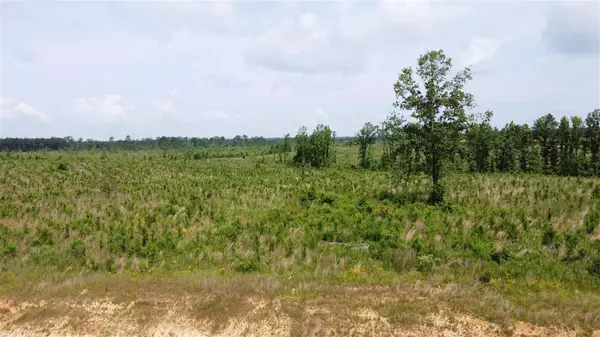 0 Stump Ridge Road #5, Brandon, MS 39047