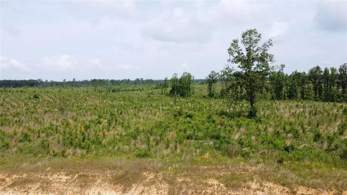 Brandon, MS 39047,361 Stump Ridge Road #1