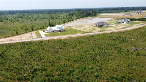 Brandon, MS 39047,451 Stump Ridge Road #8