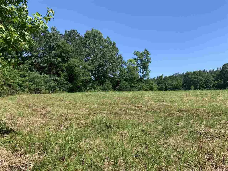 0 Old Highway 80 #1, Morton, MS 39117