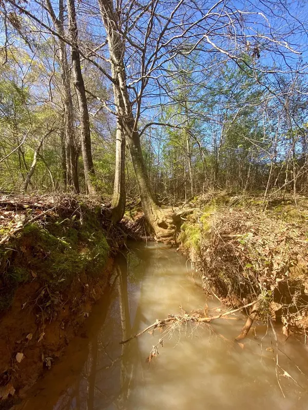 Bogue Chitto, MS 39629,2316 Traci Loop