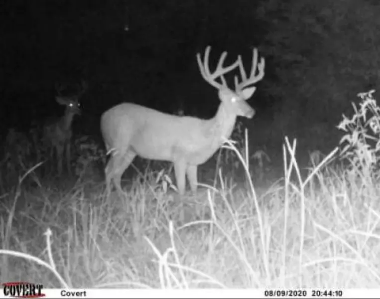 0 Highway 16, Benton, MS 39039