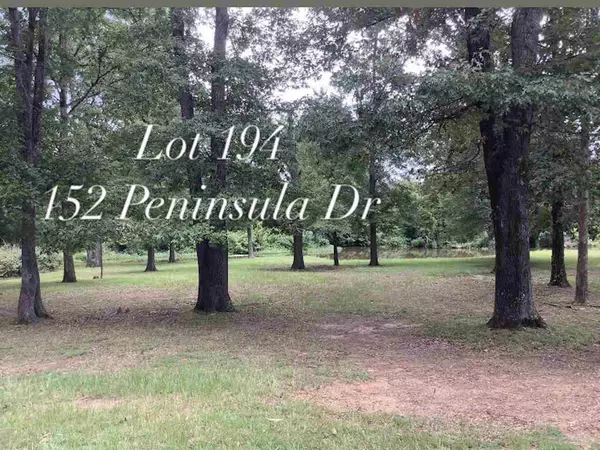 Brandon, MS 39047,152 Peninsula Drive #194