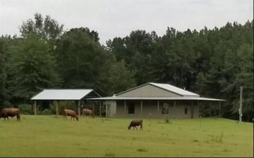 3057 SE Primitive Drive, Ruth, MS 39662