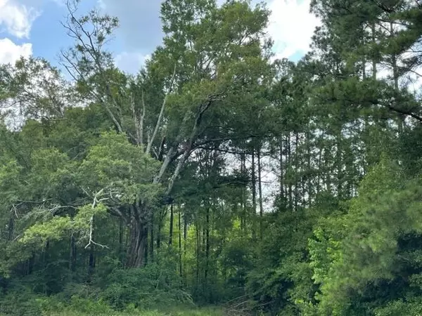 Forest, MS 39074,0 Bishop Lane