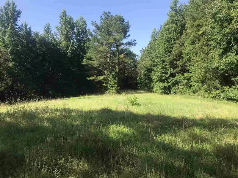 0 Loggins Road, Kilmichael, MS 39747