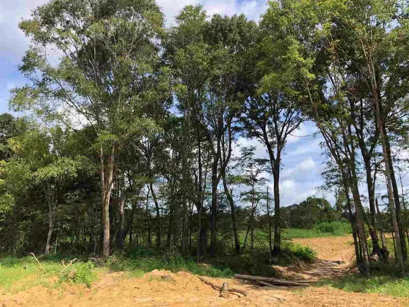 0 Patton Road, Hermanville, MS 39086
