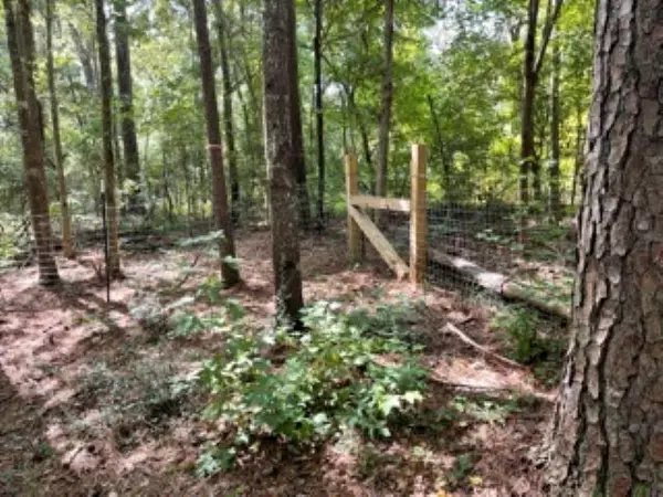 Mendenhall, MS 39114,247 Everett Church Road