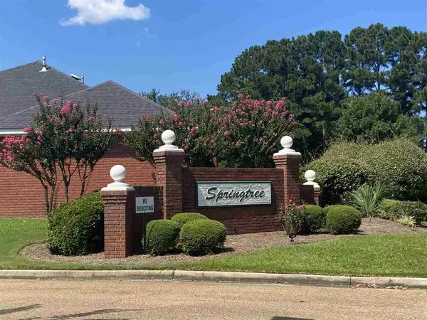 Brandon, MS 39042,102 Springtree Drive