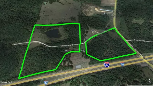 206 Copeland Road, Morton, MS 39117