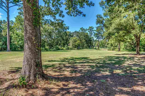 Brandon, MS 39047,317 Fairway Cove