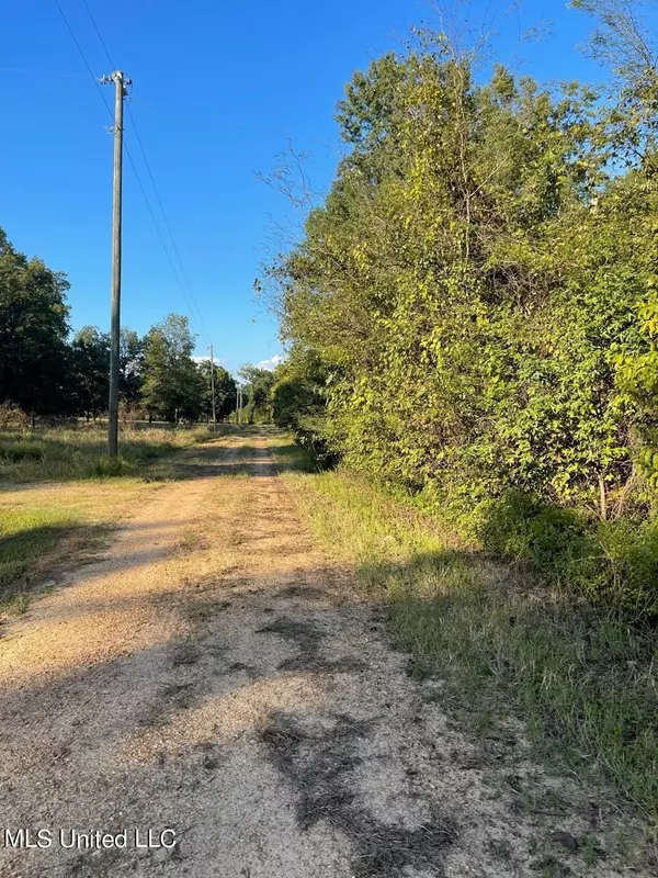 Belzoni, MS 39038,1906 N Shumaker Road #Shumaker Road vacant lot