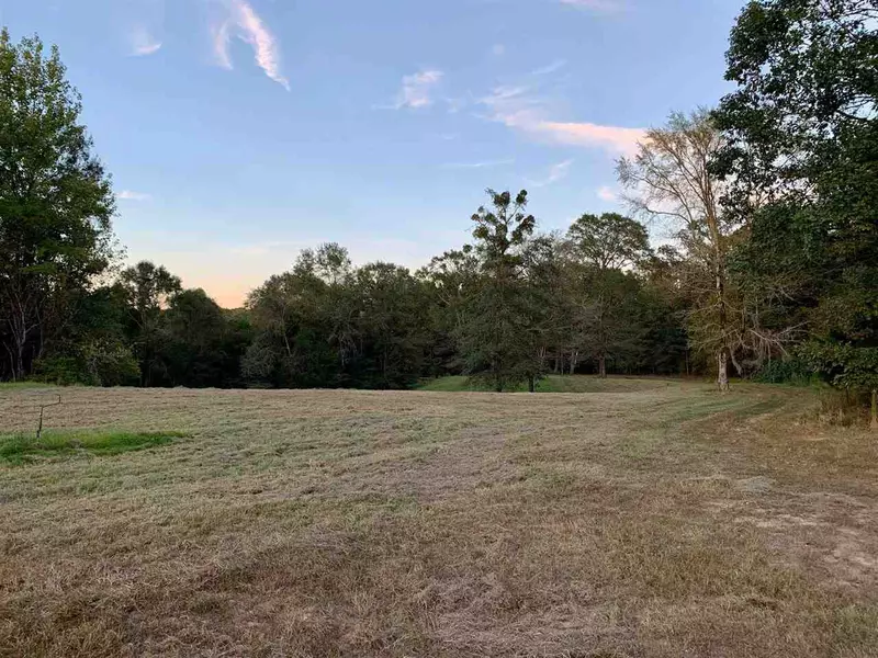 6510 Cox Ferry Road, Bolton, MS 39041