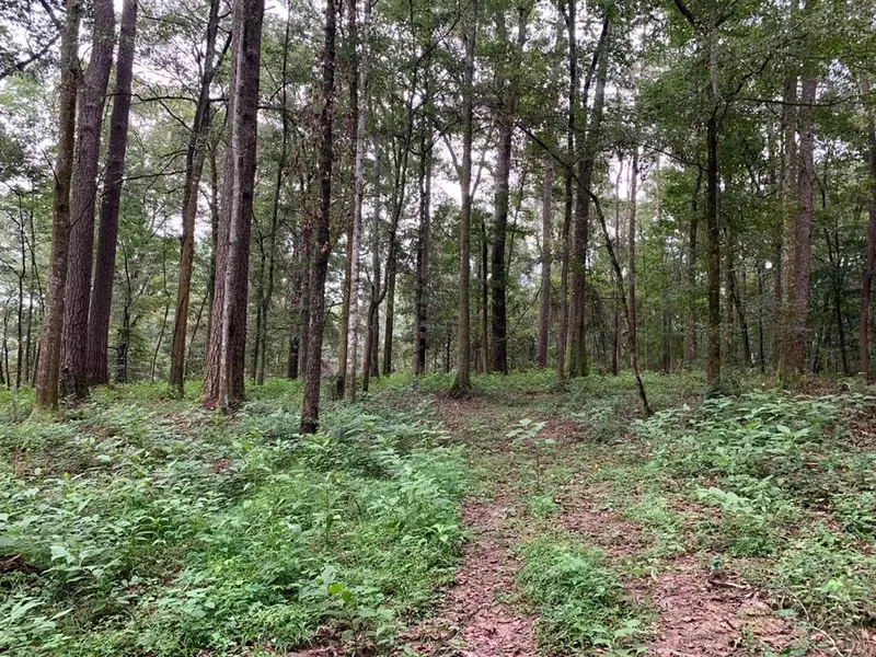 Roberts Road, Liberty, MS 39645