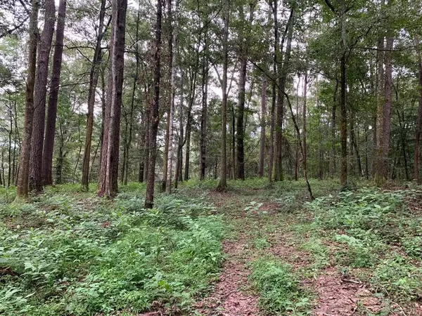 Roberts Road, Liberty, MS 39645