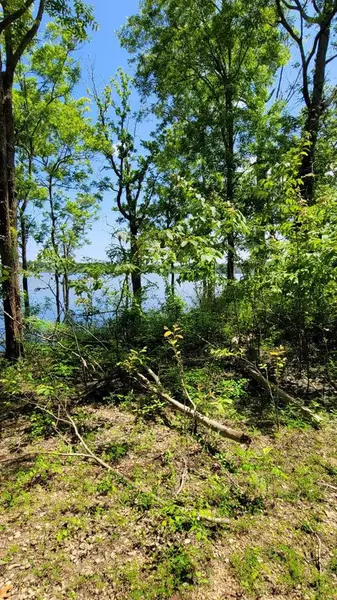 Pecan Grove, Woodville, MS 39669