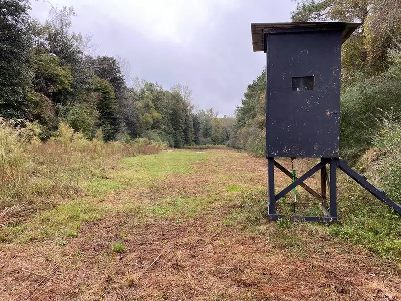 Stump Road, Gloster, MS 39638