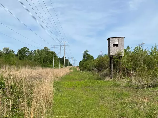 Stump Road, Gloster, MS 39638
