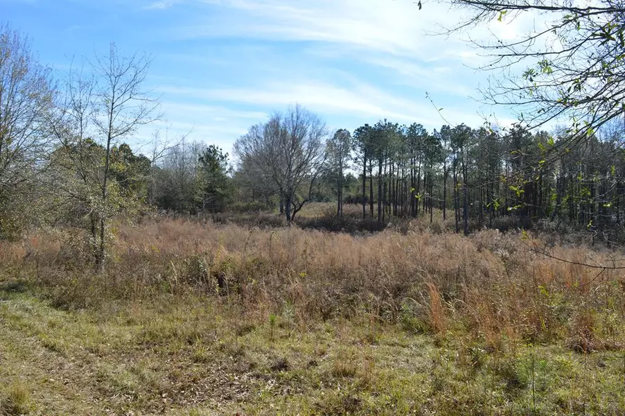 Country Club Road, Mccomb, MS 39648