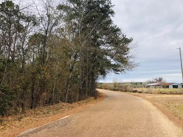 Mendenhall, MS 39144,S Main Street