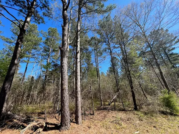 New Hebron, MS 39140,1 Grange Road