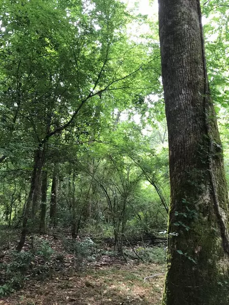 1106 Pike 93 N, Mccomb, MS 39648