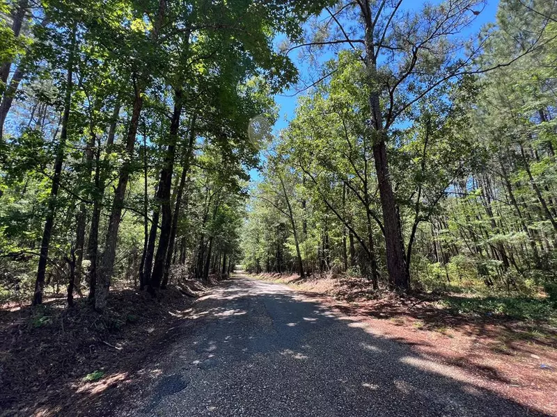 3 Sawmill Road, Braxton, MS 39044