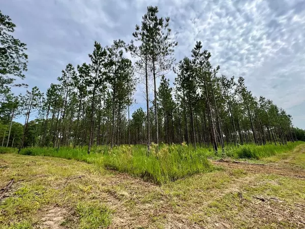 Summit Drive, Bogue Chitto, MS 39629