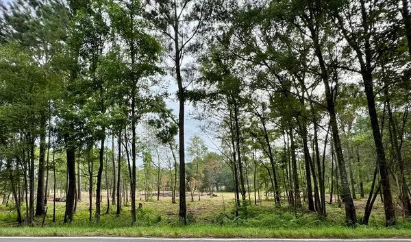 Bogue Chitto, MS 39629,Summit Drive