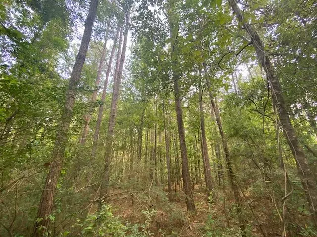 Archie Boyd, Jayess, MS 39641