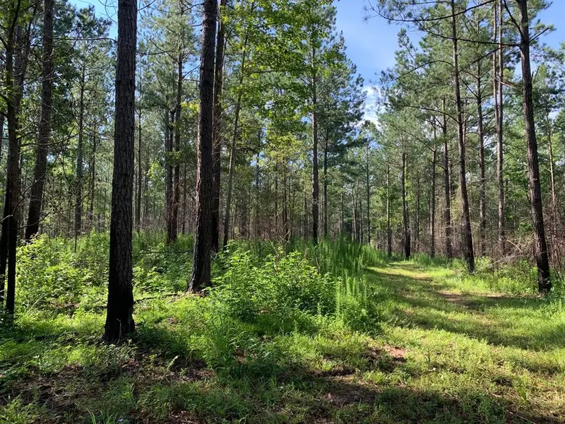 Meadville Road, Liberty, MS 39645