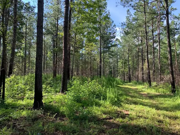 Meadville Road, Liberty, MS 39645