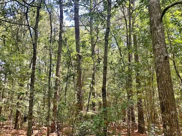 Smithdale, MS 39664,5112 Mays Lane