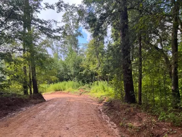 0 Lower Woodville Road, Woodville, MS 39669