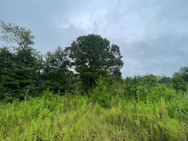 722 Summers Ln Se, Brookhaven, MS 39601