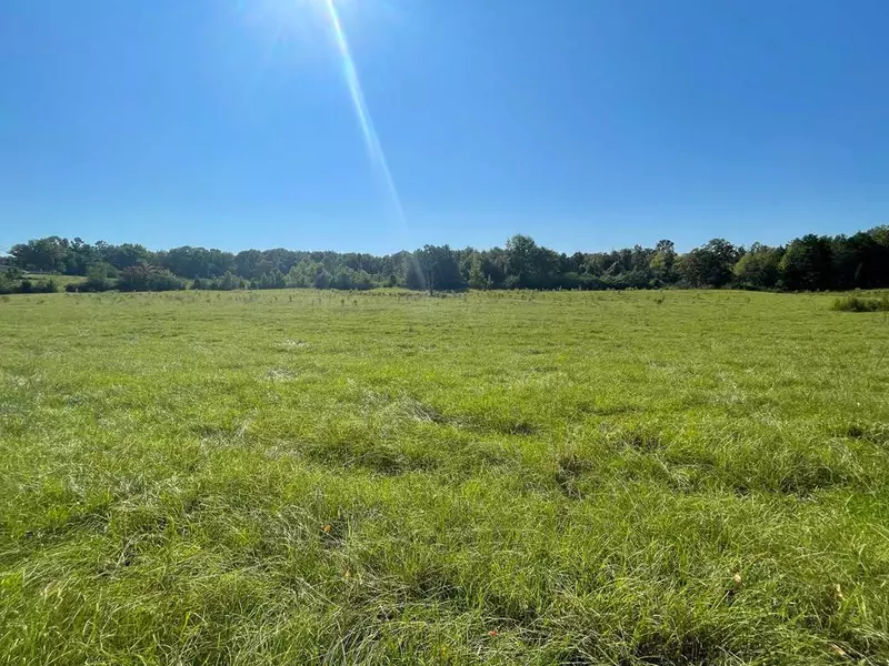 0 Dentville Road, Hazlehurst, MS 39083