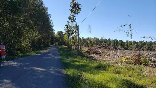 Bogue Chitto, MS 39629,0 Blackberry Trail Sw