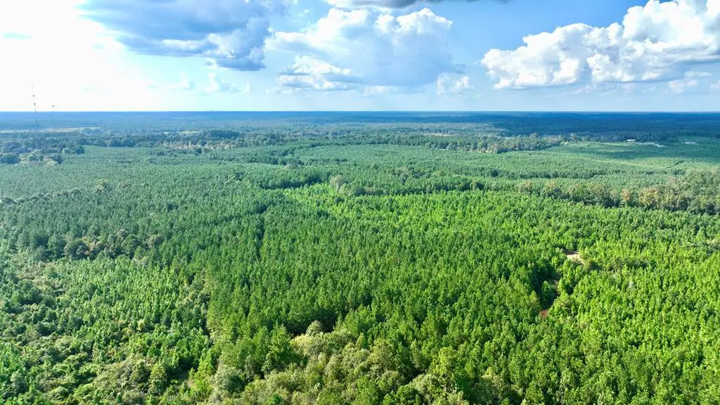 1 Highway 51 Se, Bogue Chitto, MS 39629