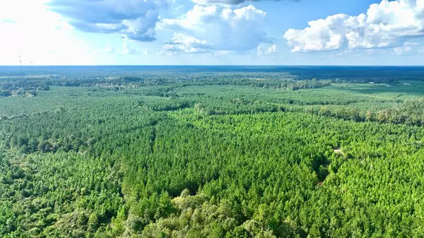 1 Highway 51 Se, Bogue Chitto, MS 39629