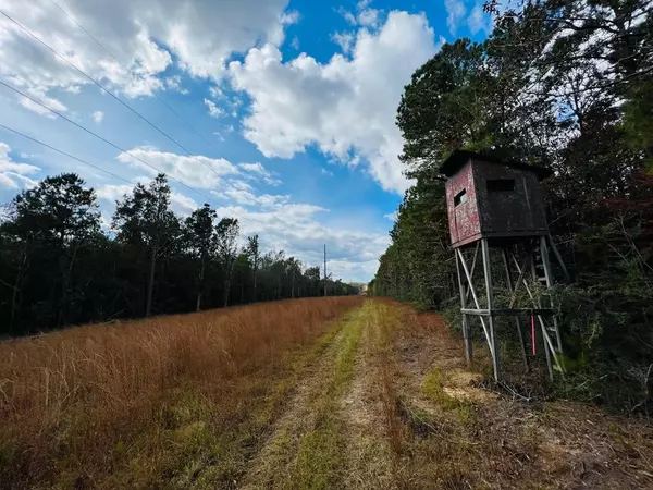 Mendenhall, MS 39114,1 Anse Reed Road