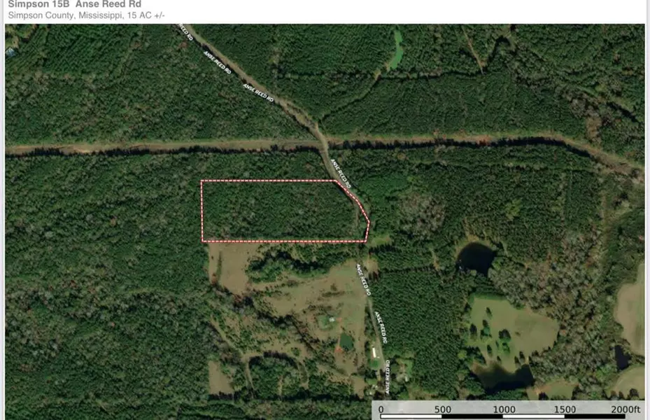 4 Anse Reed Road, Mendenhall, MS 39114