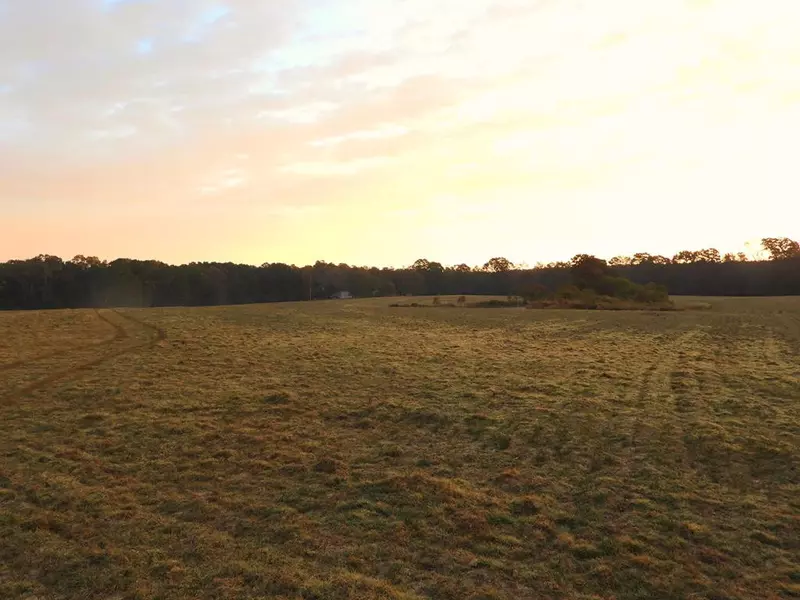 Adams Road, Smithdale, MS 39664