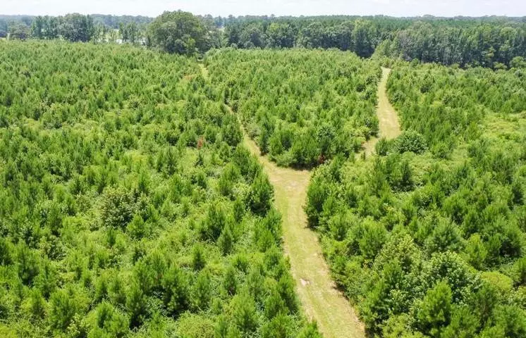 Ash Road, Centreville, MS 39631